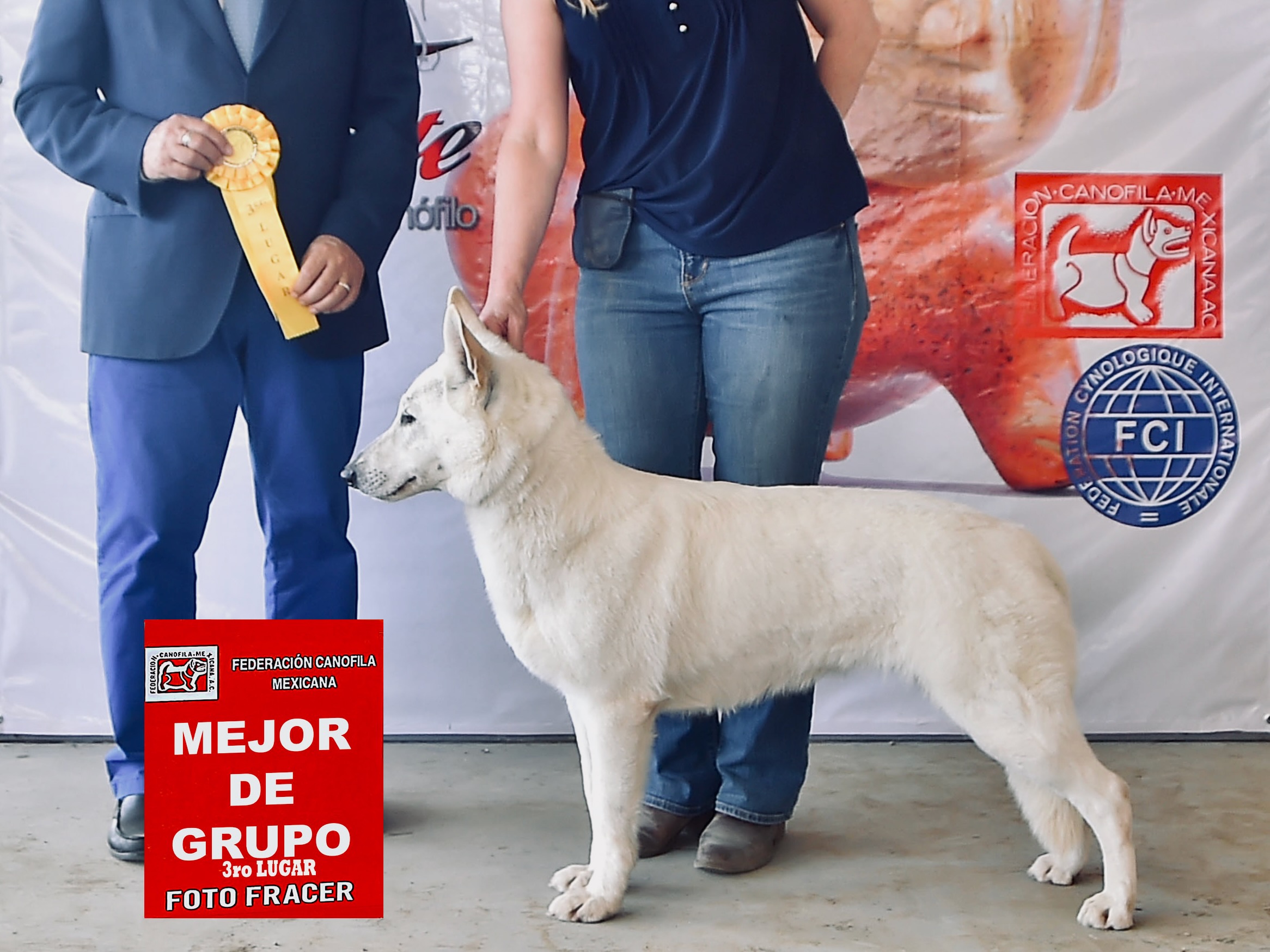 Pallas and Judge Roberto Velez-Pico