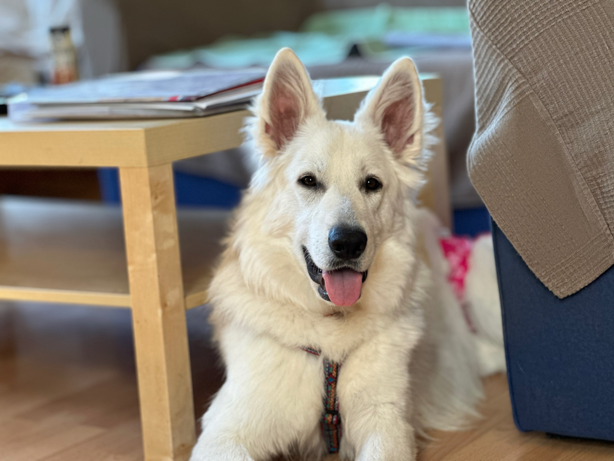Renata at our Airbnb in Ërd, Hungary