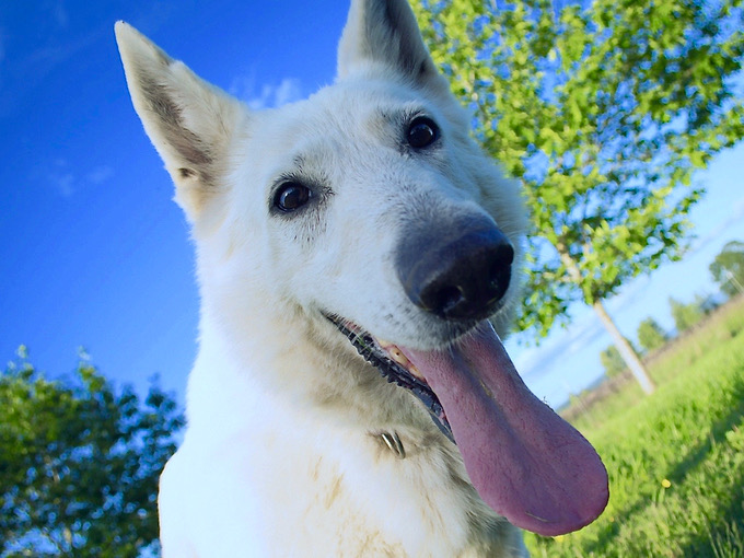 Sapphire 11 years old